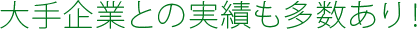 大手企業との実績も多数あり！